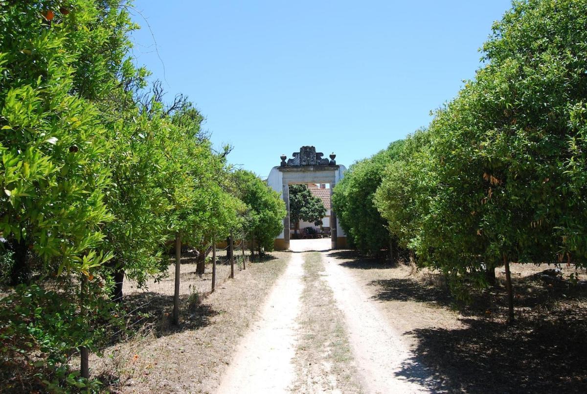 Quinta Do Casalinho - Benfica Do Ribatejo Villa Kültér fotó