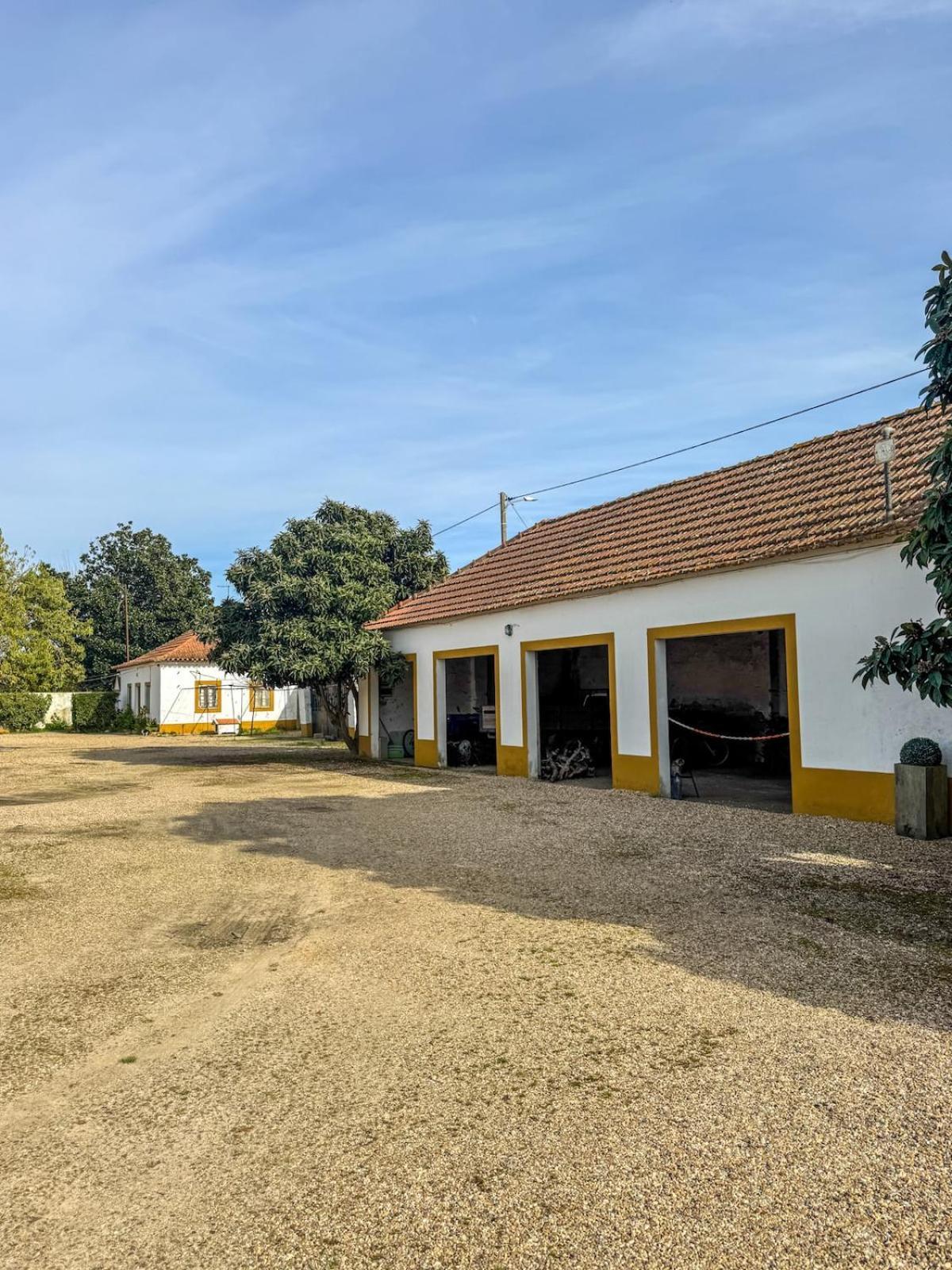 Quinta Do Casalinho - Benfica Do Ribatejo Villa Kültér fotó