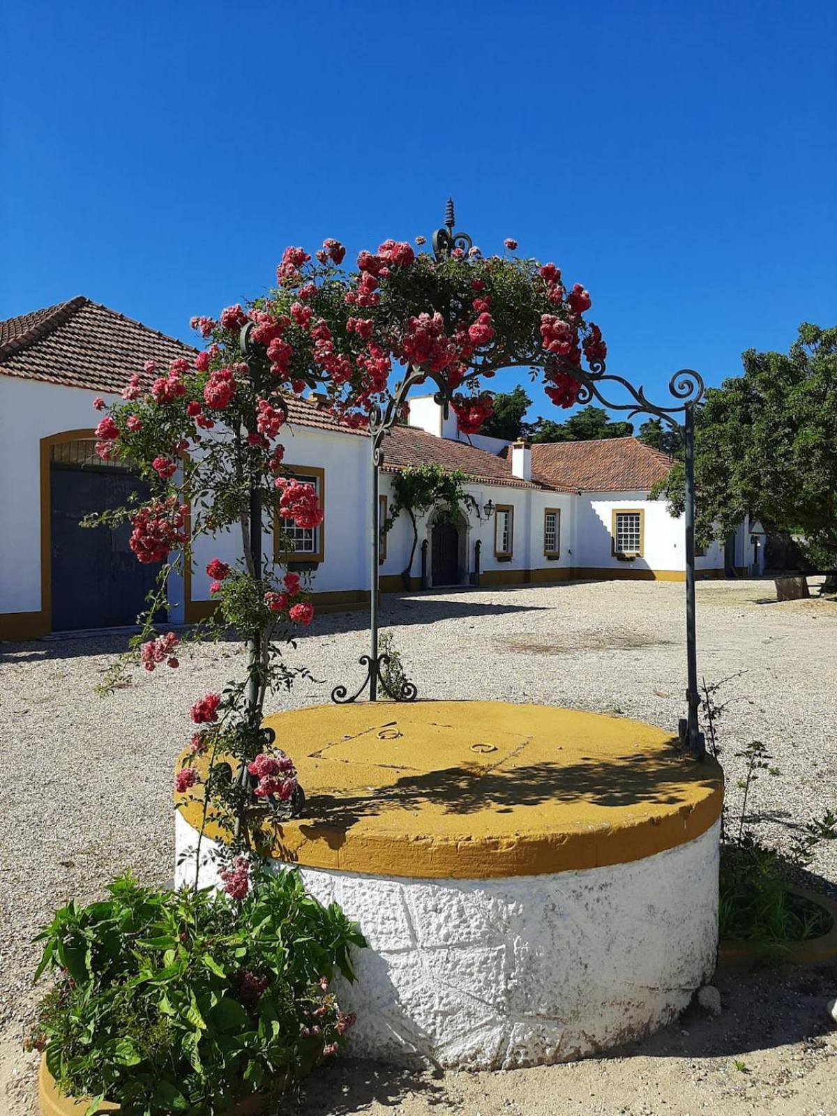 Quinta Do Casalinho - Benfica Do Ribatejo Villa Kültér fotó